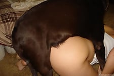 Sex with white pony and black doggy in the bedroom - picture 10