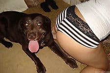 Sex with white pony and black doggy in the bedroom - picture 11