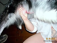 Black & white doggy gives a passionate cunnilingus - picture 1
