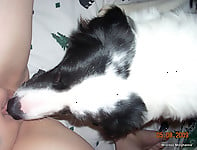 Black & white doggy gives a passionate cunnilingus - picture 8