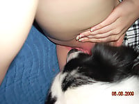 Black & white doggy gives a passionate cunnilingus - picture 10