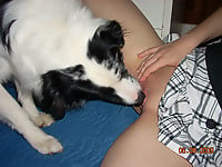 Black & white doggy gives a passionate cunnilingus - picture 12