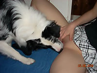 Black & white doggy gives a passionate cunnilingus - picture 15
