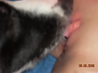 Black & white doggy gives a passionate cunnilingus - picture 18