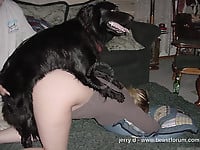 Hairy white doggy bangs my wife zoophile from behind - picture 5