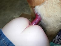 Hairy white doggy bangs my wife zoophile from behind - picture 18