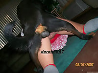 Bitch with pierced snatch drilled hard by her own dog - picture 10