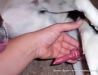Bitch with pierced snatch drilled hard by her own dog - picture 16