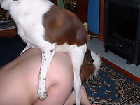 Dalmatian is licking a juicy shaved pussy of a zoophile - picture 6