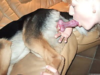 Dalmatian is licking a juicy shaved pussy of a zoophile - picture 10