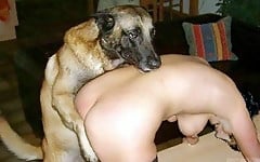 Dalmatian is licking a juicy shaved pussy of a zoophile - picture 14