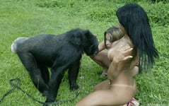 monkey porn pics - picture 20