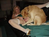 Females are pleasing their beasts in the bedroom - picture 20
