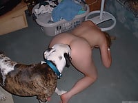 Big-boobed chick with round ass bangs with a trained dog - picture 5