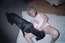 Black dog licks a wide-opened snatch of a zoophile - picture 7