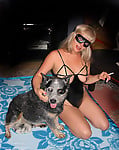 Sexy busty girls are having dog sex in compilation video - picture 11