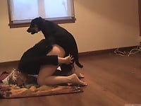 Sexy busty girls are having dog sex in compilation video - picture 28