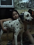 Sexy busty girls are having dog sex in compilation video - picture 34
