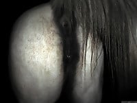 Just stretching and exploring horse asshole in close-up - picture 4
