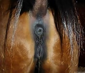 Sweet stallion with round bottom has a very cute asshole - picture 2