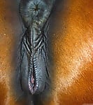 Sweet stallion with round bottom has a very cute asshole - picture 6
