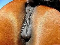 Sweet stallion with round bottom has a very cute asshole - picture 13