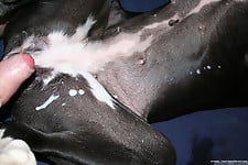 Bestial dog sex action ends with a messy cumshot - picture 3