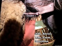 Nasty farm animal nicely drilled a sex-addicted zoophile - picture 26