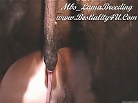 Cute woman is trying nasty anal sex in bestiality style - picture 32
