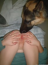 Amateur oral bestiality action with a trained beast