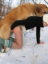 Very big dog with massive dong bangs my wife on snow