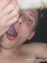 Male zoophile is sucking a doggy dick with pleasure and love