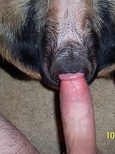 Man zoophile pleases his lovely doggy in the nastiest way