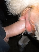 Farm animals having nasty sex and my hubby bangs a horse