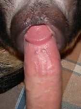 Doggy with meaty cock nicely cums in a tight pussy