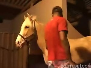 Male and horse are dicking a cock-swallowing zoophile