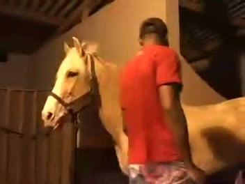 Male beast horse blowjob zoophilie nackt Pferd Porno