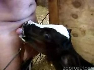 Man with small dick gets a blowjob by farm animal