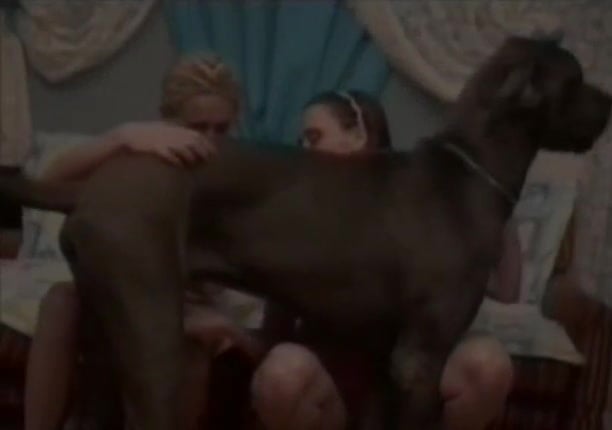 612px x 430px - Crazy family couple and their doggy are enjoying beastiality sex ...