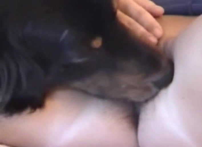 Big booty bitch with massive tits have sex with her dog Zoo Tube 