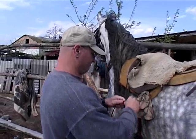 Sexy Sucking Horse Cock - Big-bottomed MILF zoofile sucks a horse dick at the farm ...