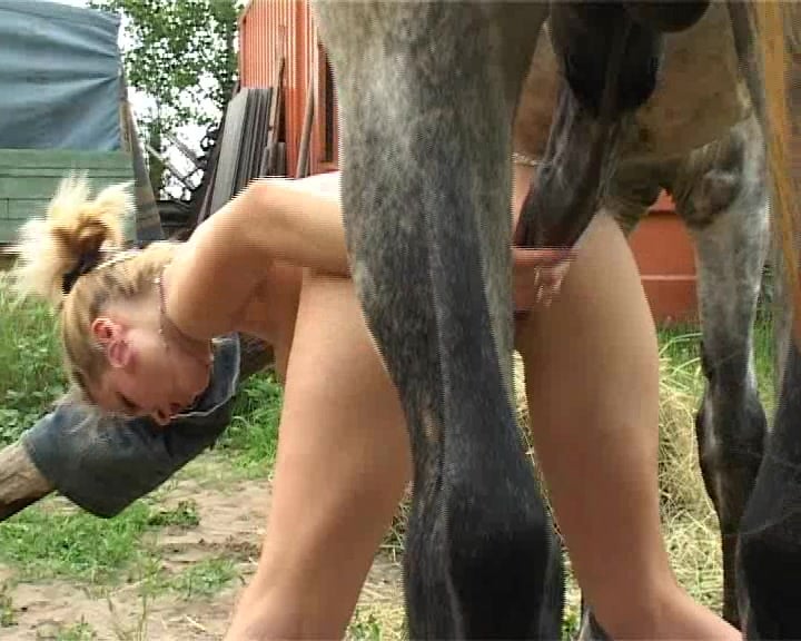 Horse And Garll Ka Sax - Big-ass girl with perfect tits sucks a horse horse / Zoo Tube 1