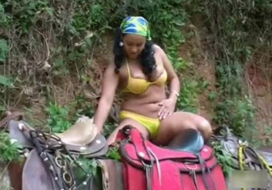 Girl Giving Blowjob To Horses - Black-haired babe performs a deep blowjob for a horse / Zoo ...