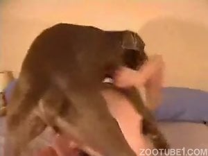 Dog hardly drilled a sex-addicted zoophile whore