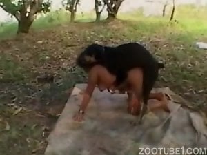 Awesome black dog pounds a slutty brunette in the doggy pose