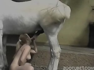 All-natural chick gives her horse a nice deep blowjob