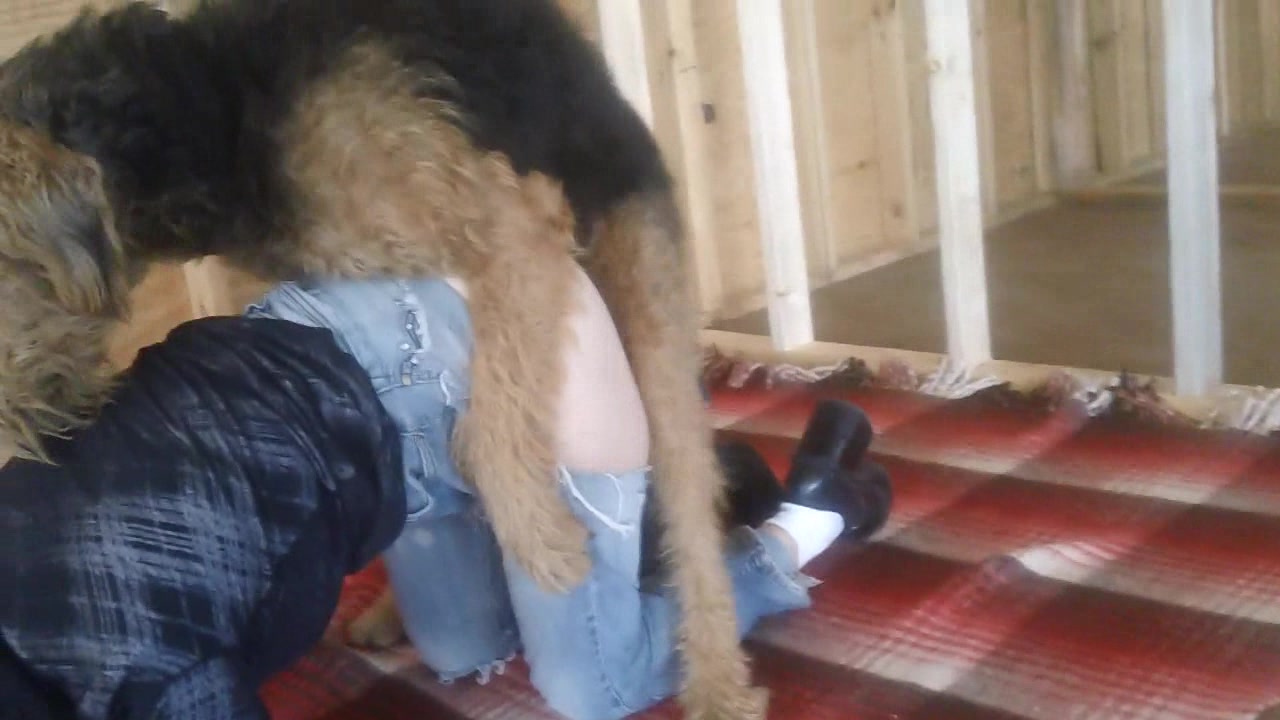 Sexo com.cachorro gigante