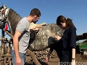 Dude bangs his girlfriend that's sucking a horse dick