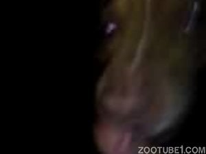 My lovely doggy is licking my boner in POV mode