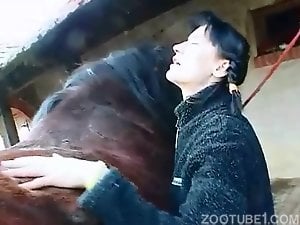 Skinny brunette zoophile gets banged by a stallion